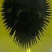 Ferrofluide Mgantische Fluessigkeit