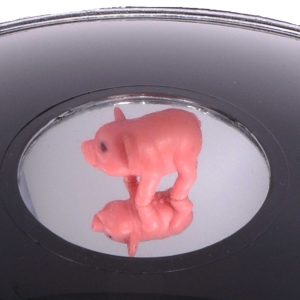 Original Zauberspiegel Mirage mit Hologramm - Physik Spielzeug für Physik Experimente